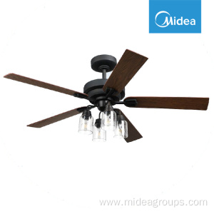 Ceiling Fan